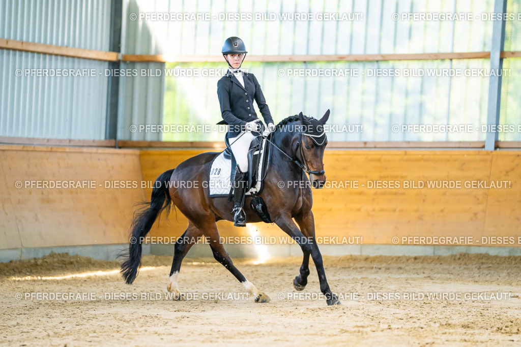 DSC06133 | Pferdegrafie