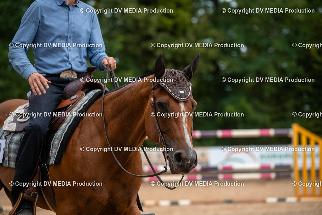 ZS2_7759 | dv-media-shop - Realisiert mit Pictrs.com