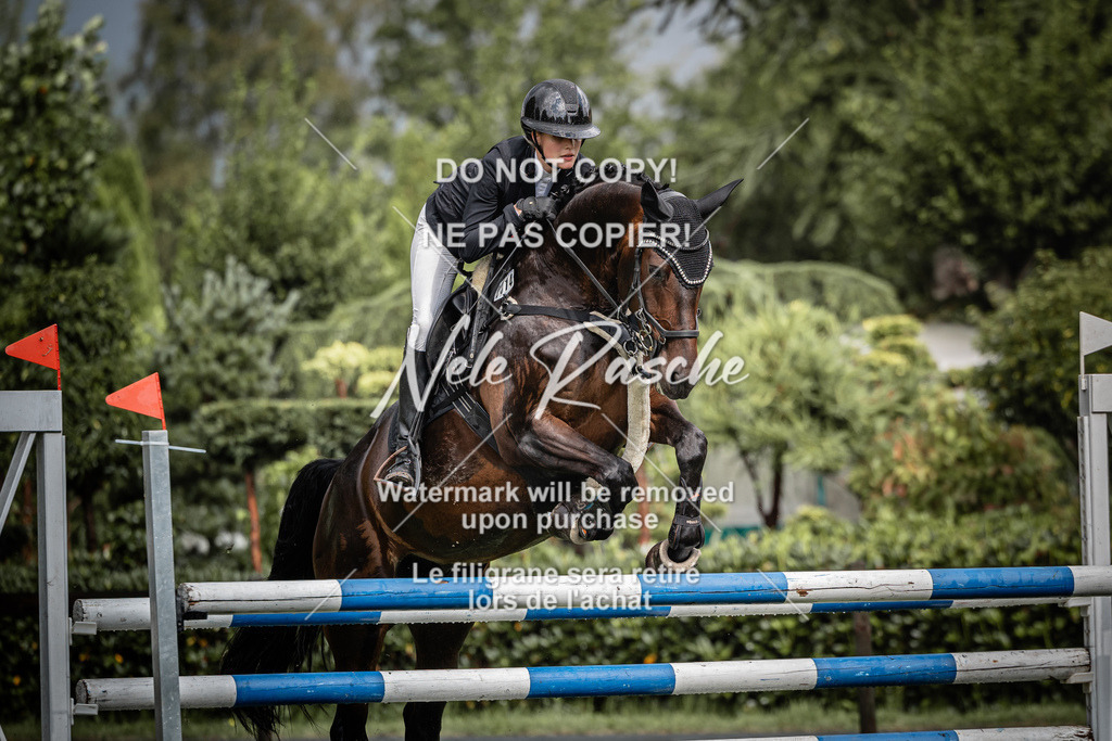 nelerasche_SprL110Ede_26 | nelerasche