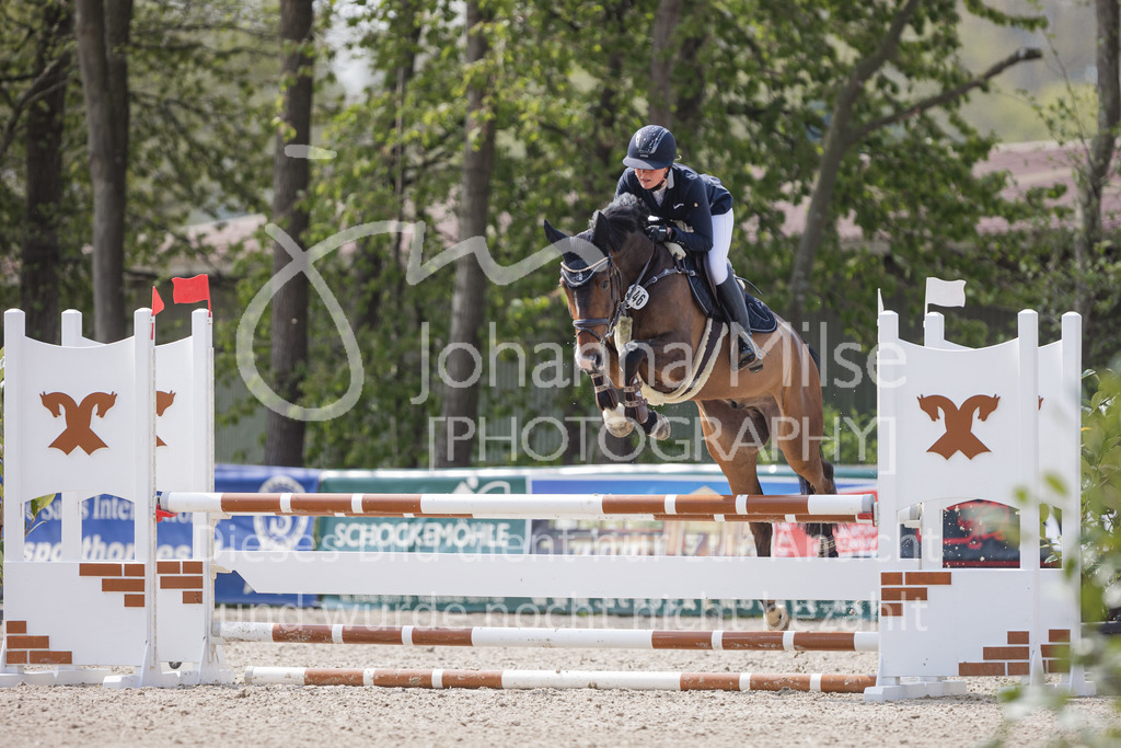 220426_Mühlen_SprPfA2-274 | Late Entry Mühlen
26.04.2022
02 Springpferde-A** 4-6j