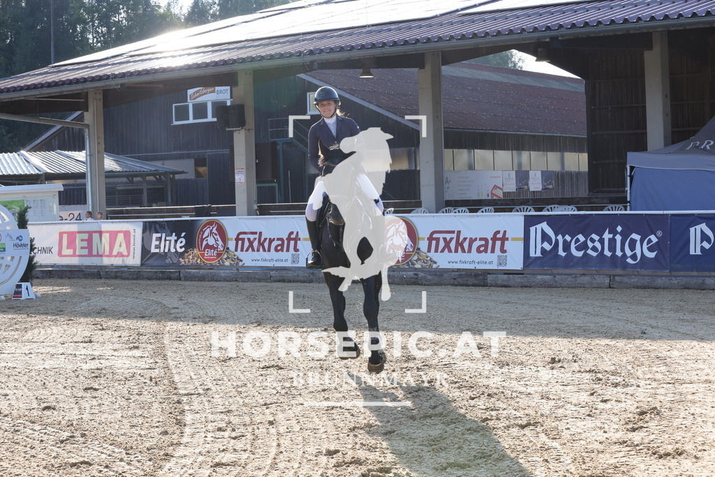 0P6A8378 | Willkommen bei Brunnmayr - Design & Fotografie – Ihrem Spezialisten für Reitturniere und Pferdeveranstaltungen in Oberösterreich, Salzburg und Bayern! Seit über 17 Jahren sind wir leidenschaftlich dabei.
