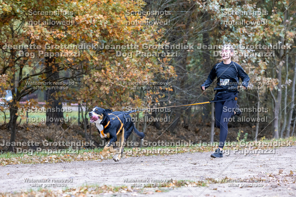 Dog Paparazzi - SD CaniX Championship 2025-432 | Dog Paparazzi Jeanette Grottendiek Fotografie & Videografie - Realisiert mit Pictrs.com