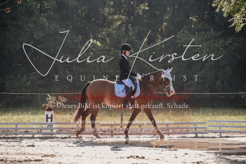 DSC_7762 | Pferde- und Turnierfotografie in Westsachsen. Pferdeportraits, Auftragszeichnungen und intuitive Kunst.