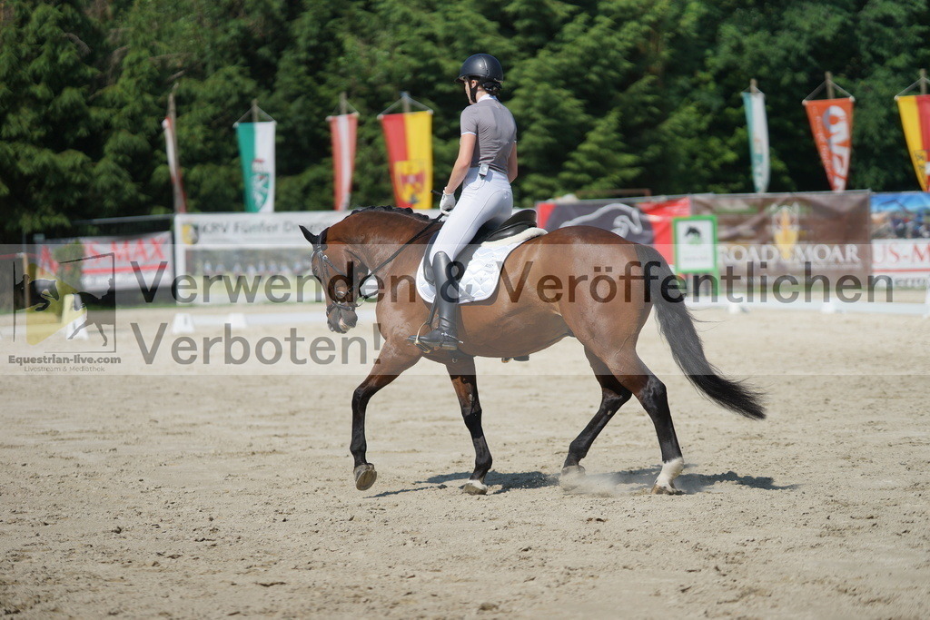 DSC01534 | equestrian-live-com