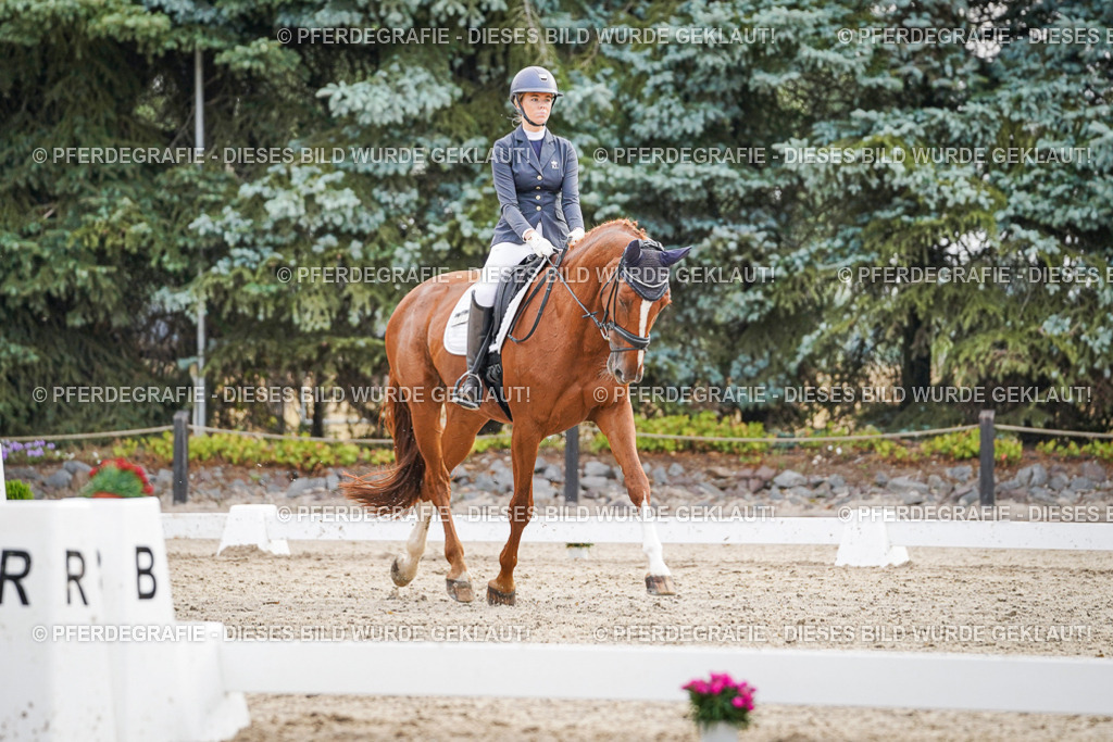 DSC00450 | Pferdegrafie