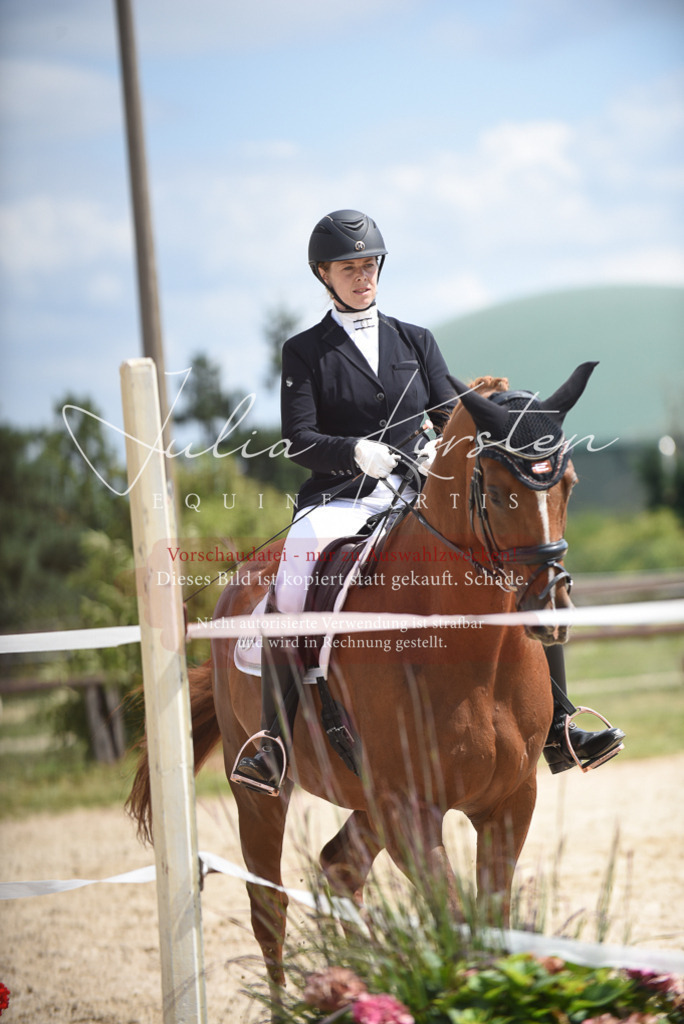 DSC_9002 | Pferde- und Turnierfotografie in Westsachsen. Pferdeportraits, Auftragszeichnungen und intuitive Kunst.
