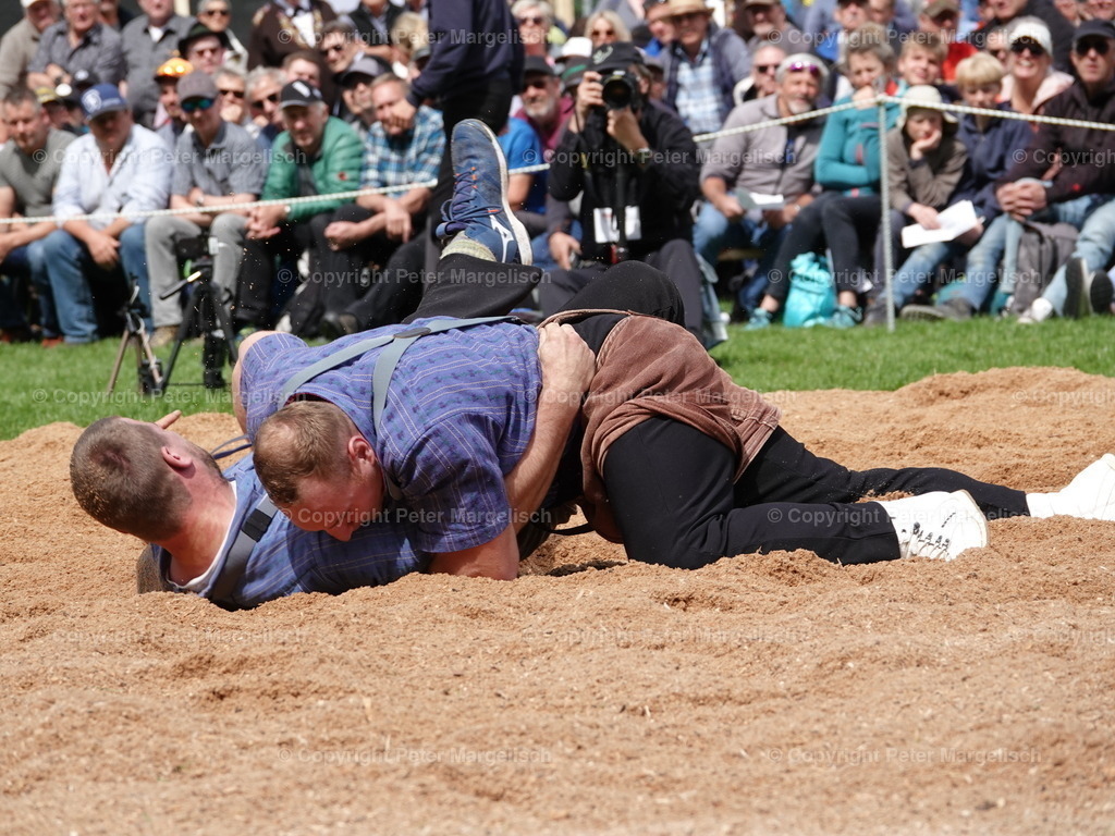 DSC07175 | Schwingen - Realisiert mit Pictrs.com