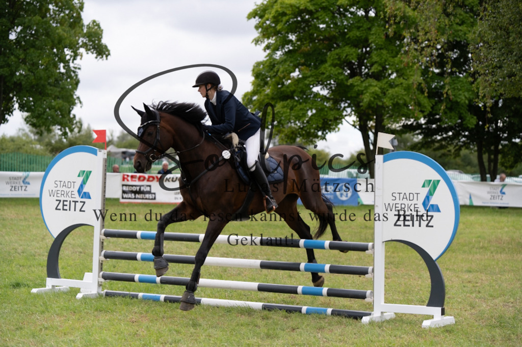 A7V05527 | Pferdefotograf