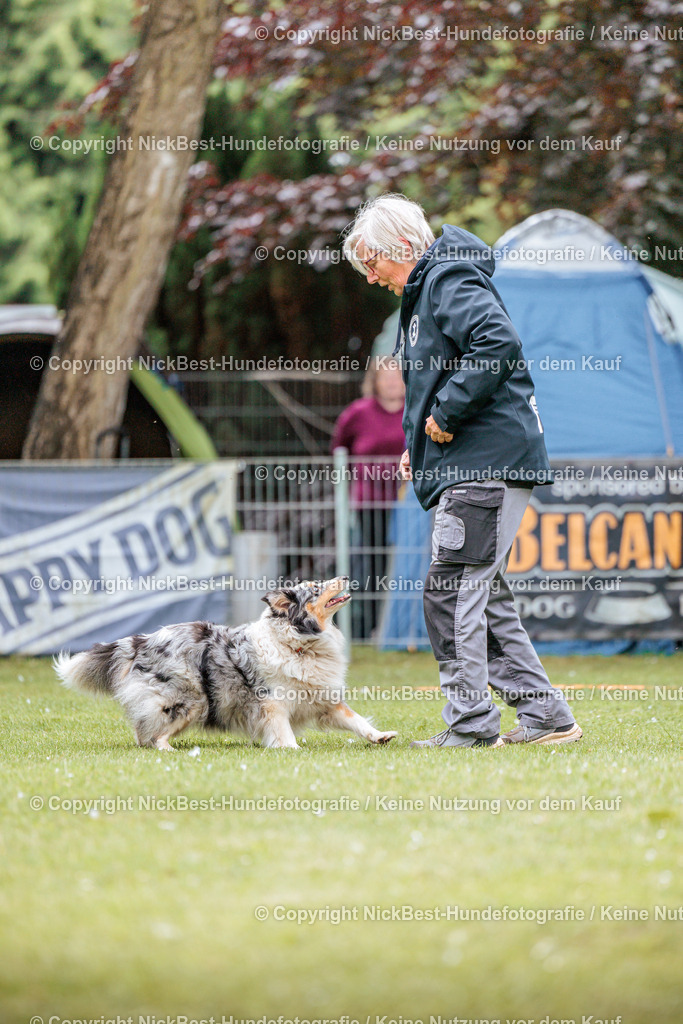 RO-Blumenthal-2026-Nickbest-Hundefotografie-2944 | Dein Hund! Dein Moment! Deine Erinnerungen! Hundefotografie in Bremen Blumenthal. Ich fange die besonderen Momente deines Vierbeiners ein – ob Indoor mit Blitzanlage oder in der freien Natur. Sicher dir dein Moment und dein Termin für eure Erinnerungen.