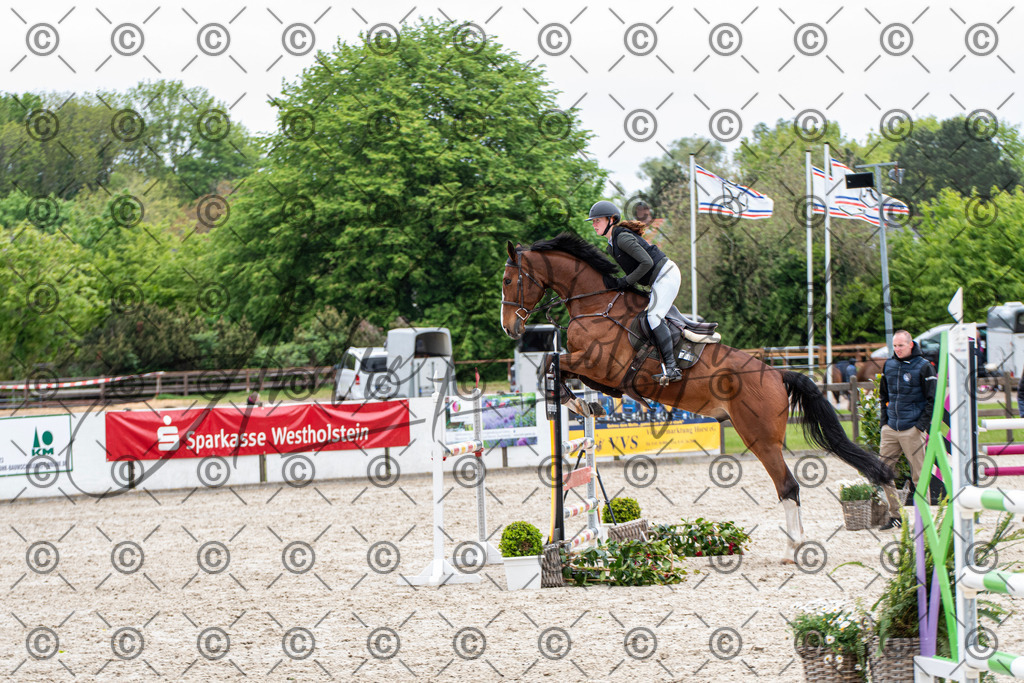 KPT_8784 | andre_photographic