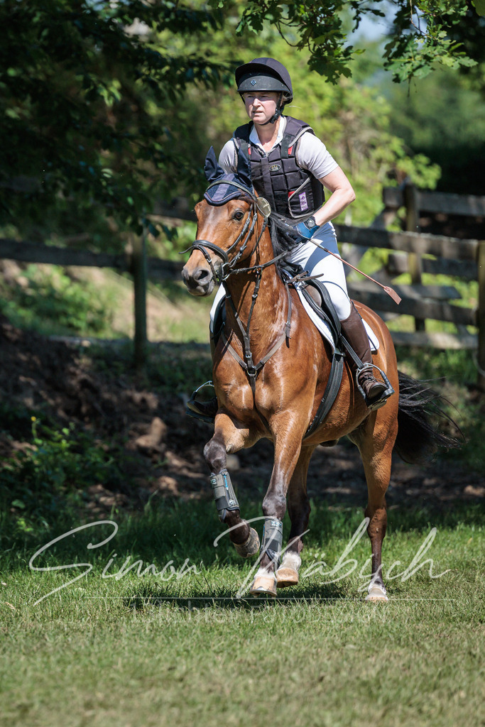 20260523-_3LI7699 | Tierfotografie Pferde, Hunde, Katzen, Haustiere.
Turnierfotografie Reitturniere, Reiten, Springreiten, Dressur in Hanau, dem Main-Kinzig-Kreis und dem Rhein-Main- Gebiet um Frankfurt