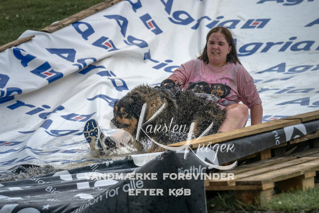 1512_ZZ93948 | kk-dogfotos