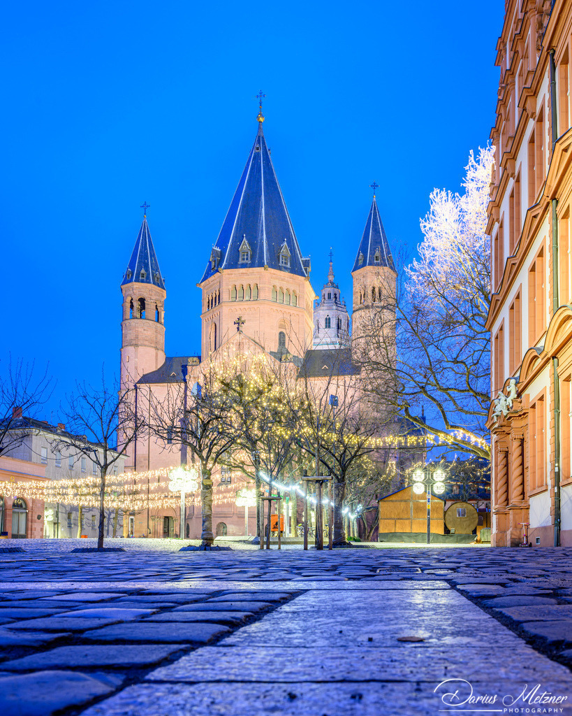 Der Mainzer Dom | Der Mainzer Dom St Martin