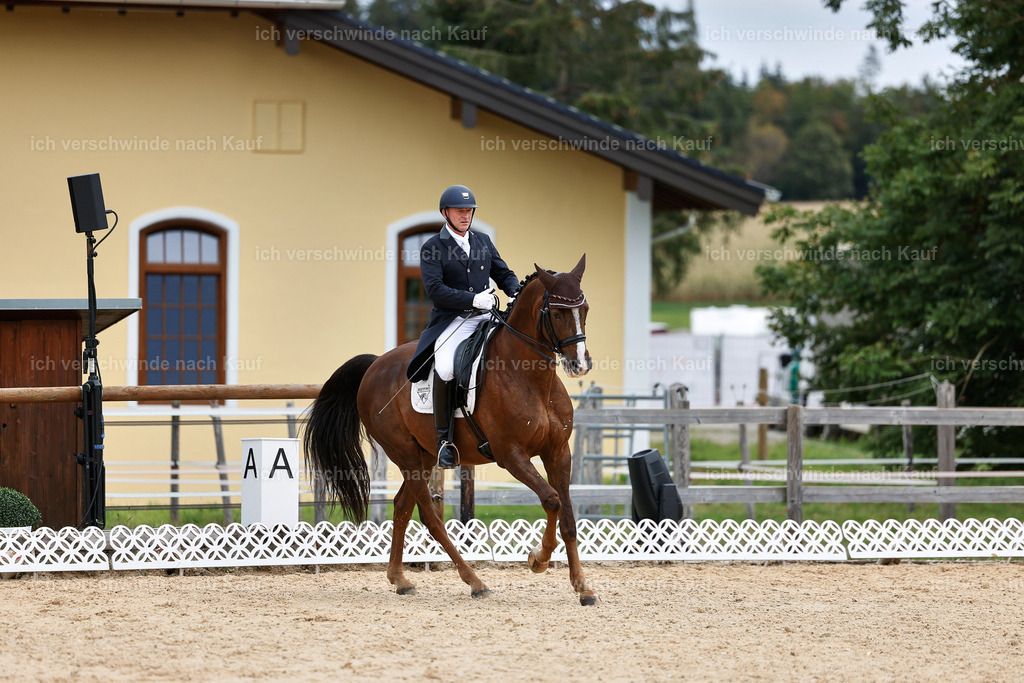 11-092-Dressur S___-StoibPH-1309 | working equitationturnier fotograf videograf stoibphotography marixx film working equitation deutschland reitsport turnierfotografie eventfotografie equestrian events