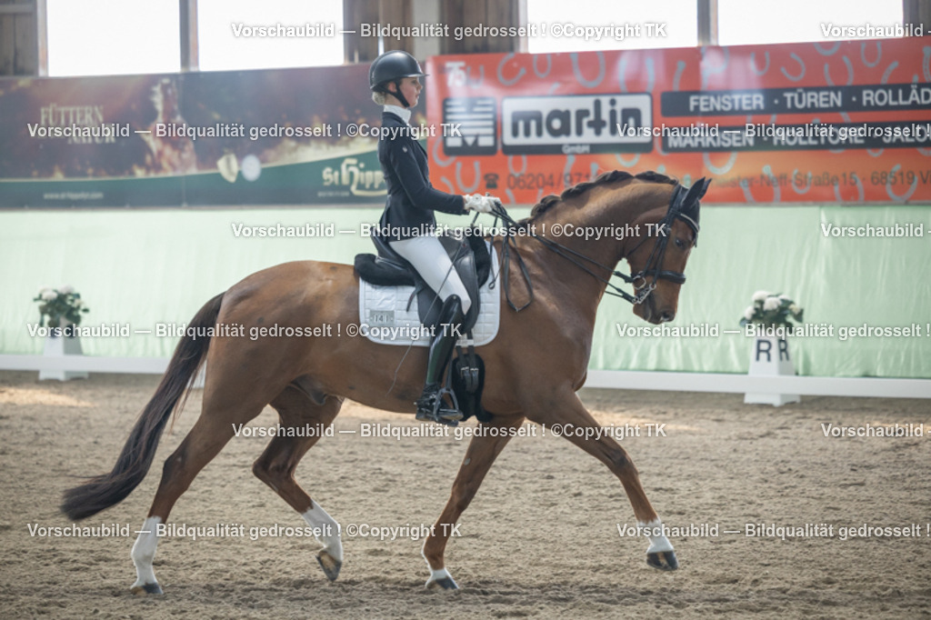 _D5A4428 | Emotionale Pferde- & People-Fotografie rund um Heidelberg, Leimen & Umgebung. Natürliche Fotos von Pferd, Mensch & Familie. Jetzt Termin sichern!