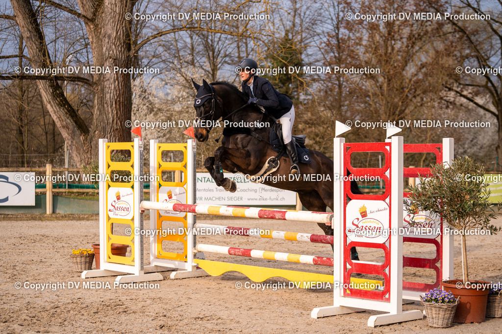 Kranichstein Tag 2-1398 | dv-media-shop - Realisiert mit Pictrs.com