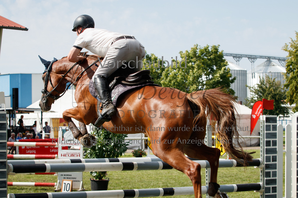 IMG_3746 | P. Berger Fotografie - Realisiert mit Pictrs.com