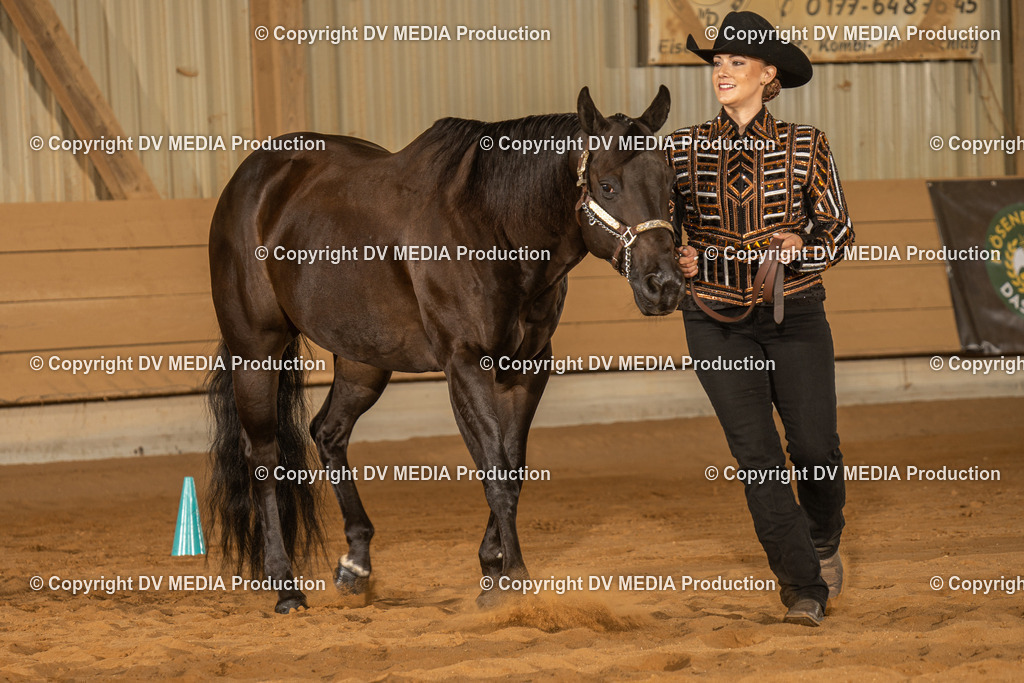 NID02386 | dv-media-shop - Realisiert mit Pictrs.com