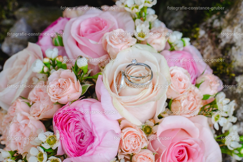 1010 | Fotografie Constance Gruber - Realisiert mit Pictrs.com