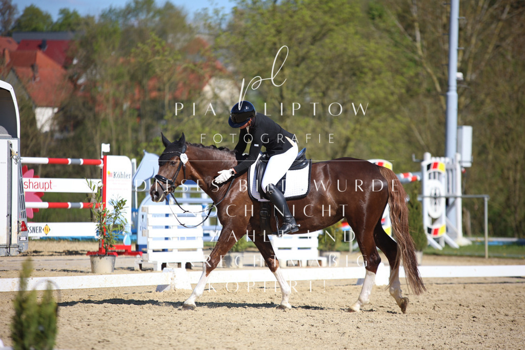 IMGT8882 | pl-fotografie