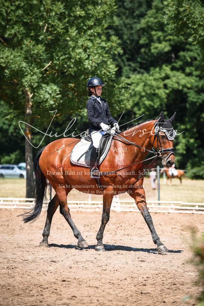 DSC_2944 | Pferde- und Turnierfotografie in Westsachsen. Pferdeportraits, Auftragszeichnungen und intuitive Kunst.