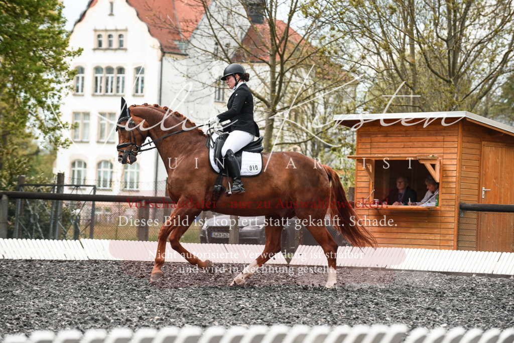 20230514_JK-Röhrsdorf-24-049 | Pferde- und Turnierfotografie in Westsachsen. Pferdeportraits, Auftragszeichnungen und intuitive Kunst.