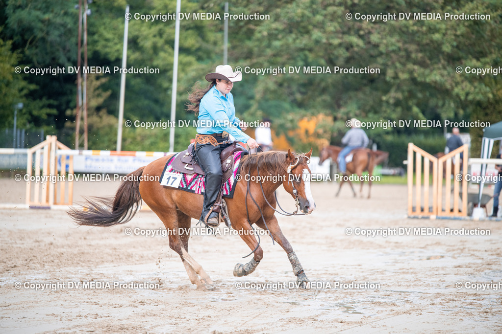 ZS2_4384 | dv-media-shop - Realisiert mit Pictrs.com