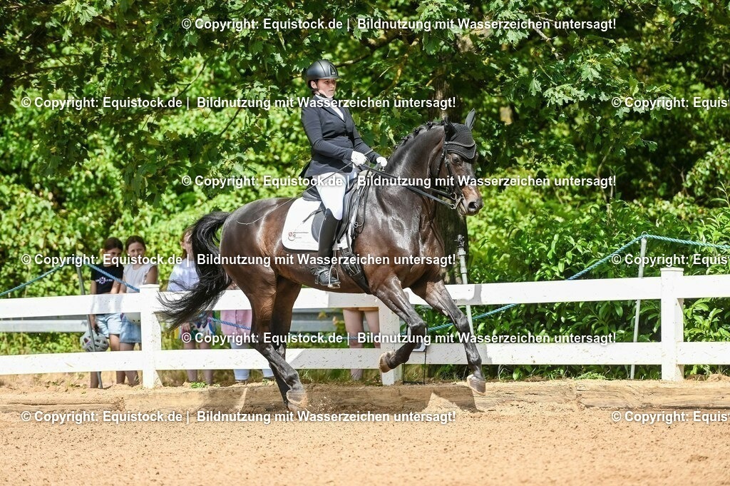 20230716_01_Dressurprüfung Kl.M_0129 | equistock