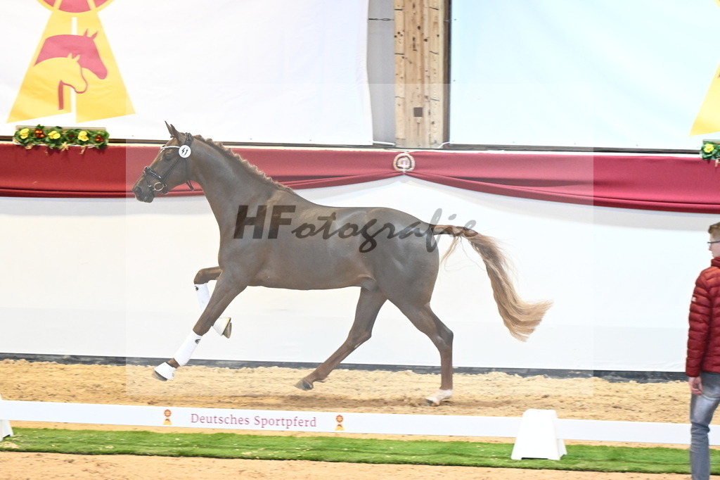 Kat.-Nr. 41 v. Donier_Beckmann_2240449 | hf-fotografie - Realisiert mit Pictrs.com