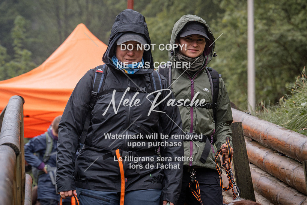 nelerasche_SoAuszug_61 | nelerasche
