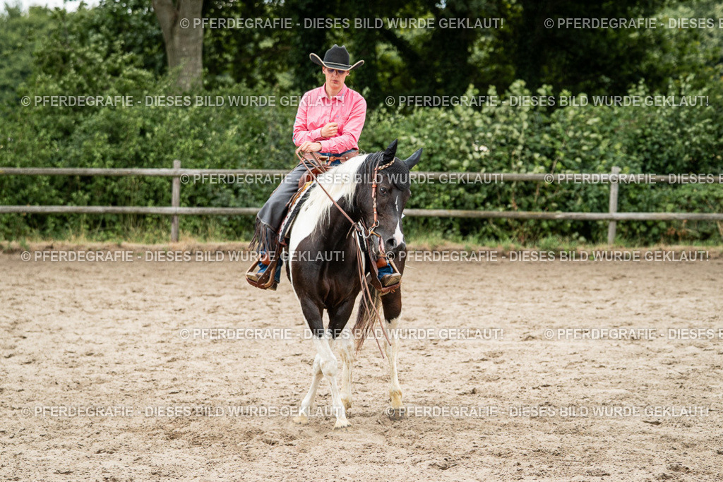 DSC03027 | Pferdegrafie