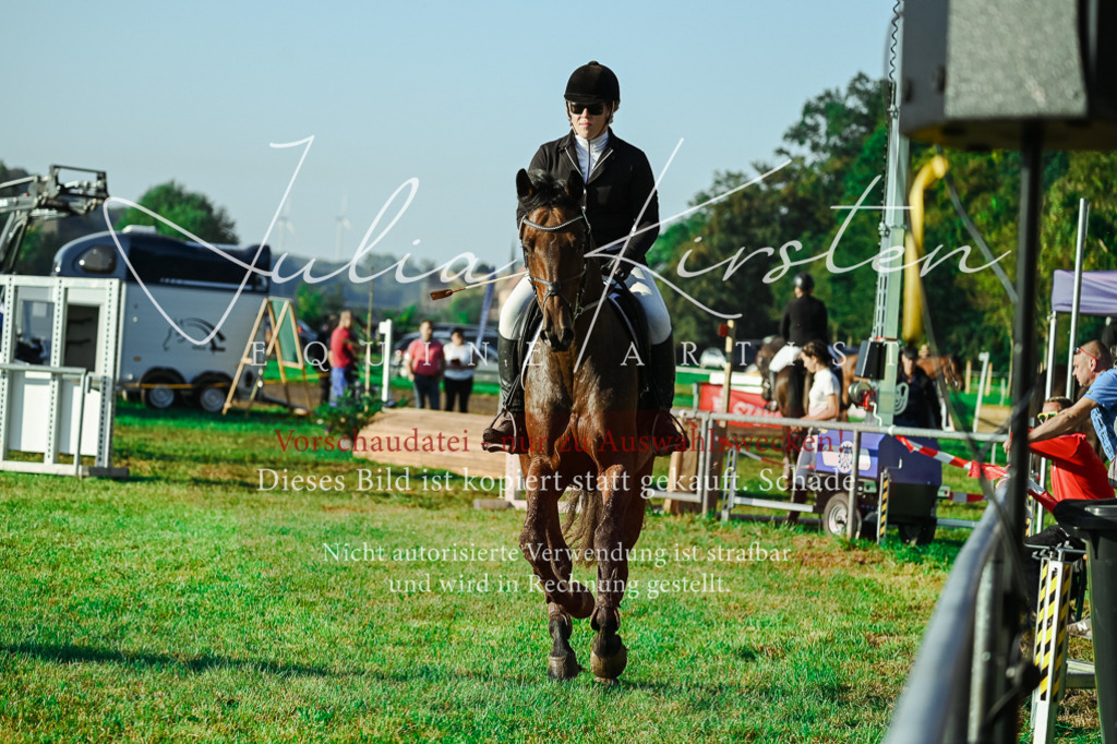 DSC_4343 | Pferde- und Turnierfotografie in Westsachsen. Pferdeportraits, Auftragszeichnungen und intuitive Kunst.