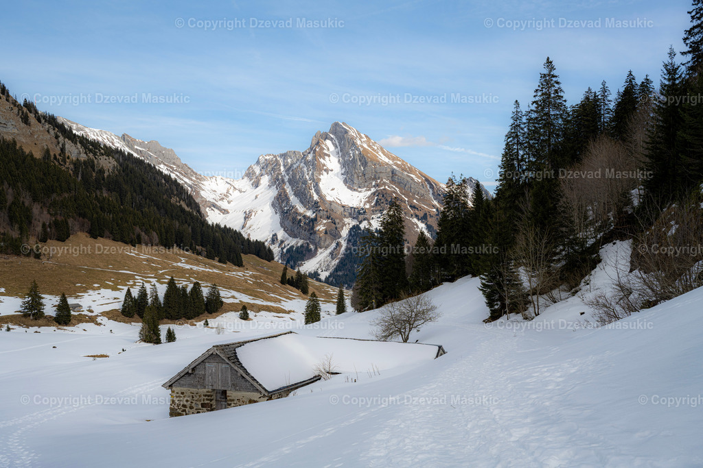 Gräppelensee | Der Gräppelensee in Alt St. Johann ist ein idyllischer Bergsee, eingebettet in die wunderschöne Landschaft des Toggenburgs. - Realisiert mit Pictrs.com