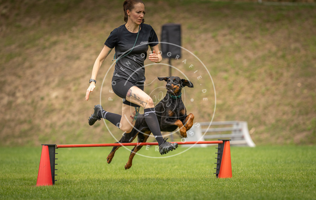 Pfotenfotografie_DV3A9589 | Hundefotografie, Tierfotograf, Pfotenfotografie, Fotoshooting Hund, Hunde Portrait, Hundesport, Hundeportraits, Heideshooting, Hunde, Sportfotograf, Hundefotograf, Turnierhundsport, THS,  - Realisiert mit Pictrs.com