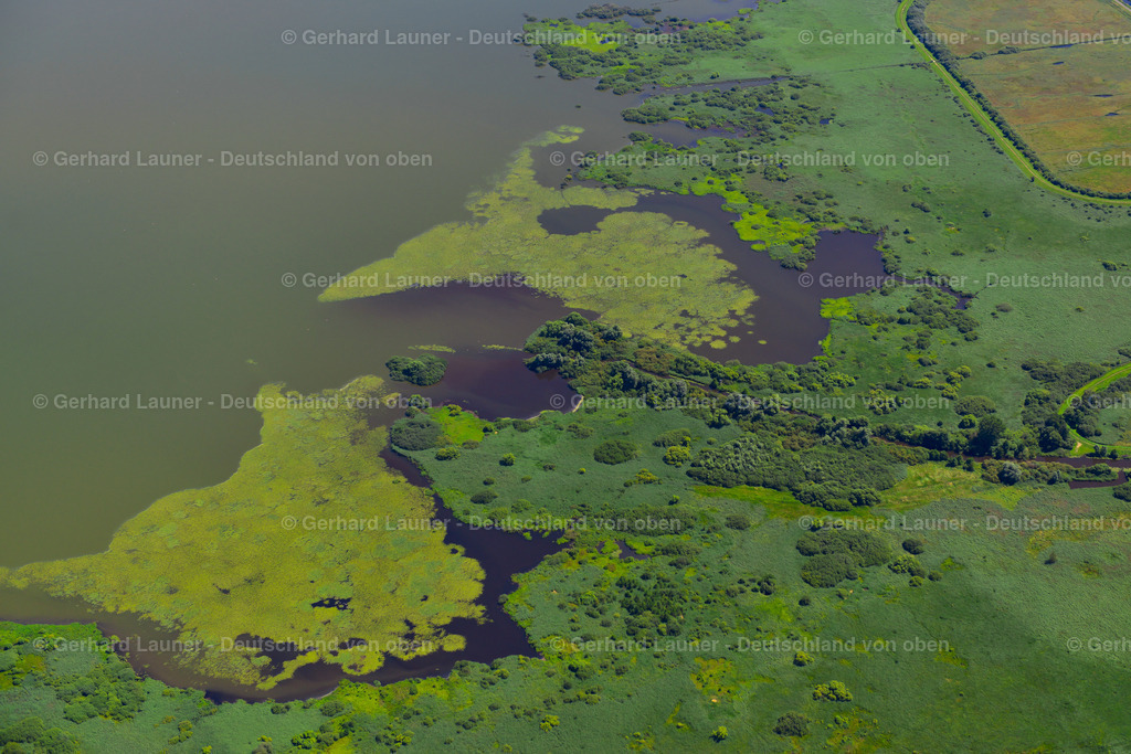 3620722 | Dümmer See