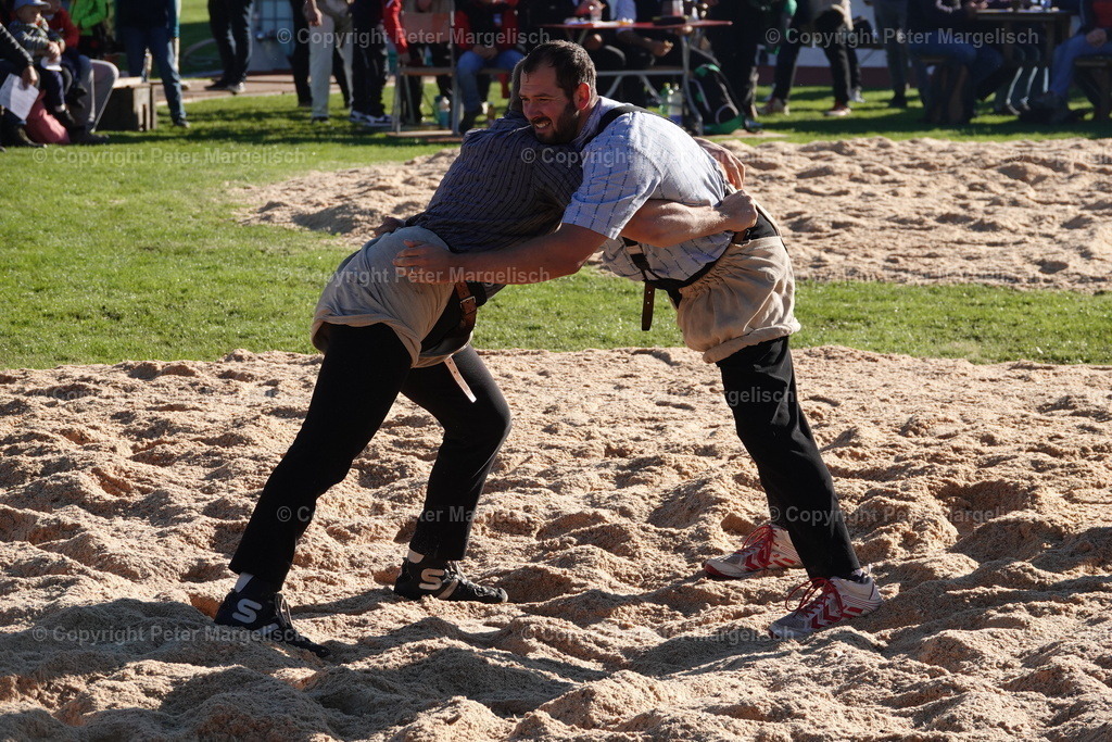 DSC01956 | Schwingen - Realisiert mit Pictrs.com