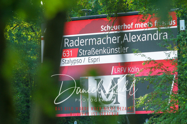 DKP41385 | Turniersportfotografie; Pferdefotografie; Dressurfotografie