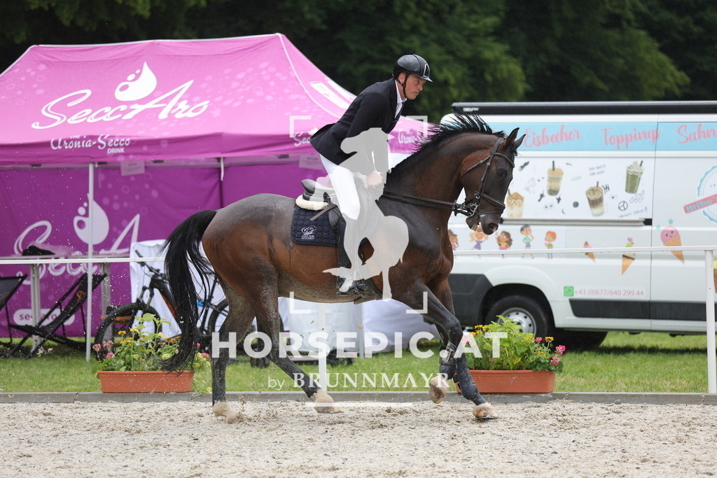 0P6A3246 | Willkommen bei Brunnmayr - Design & Fotografie – Ihrem Spezialisten für Reitturniere und Pferdeveranstaltungen in Oberösterreich, Salzburg und Bayern! Seit über 17 Jahren sind wir leidenschaftlich dabei.
