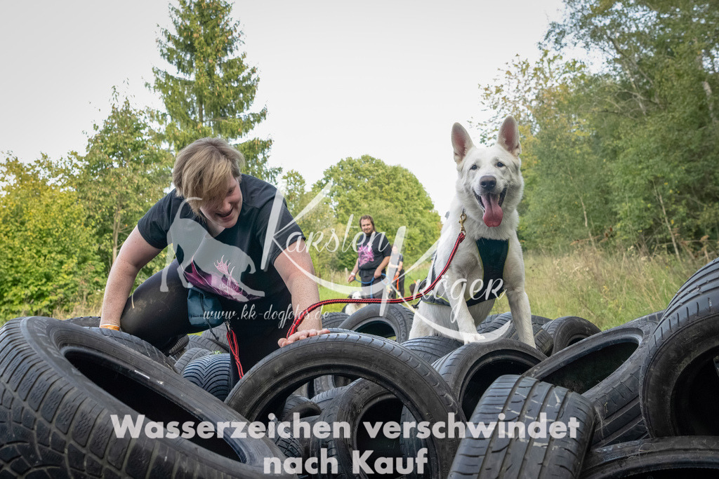 1500_ZZ90705-Bearbeitet | kk-dogfotos