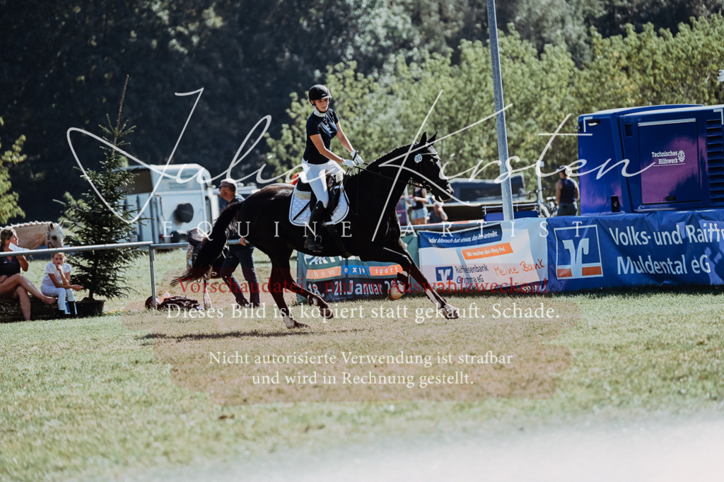 DSC_6630 | Pferde- und Turnierfotografie in Westsachsen. Pferdeportraits, Auftragszeichnungen und intuitive Kunst.