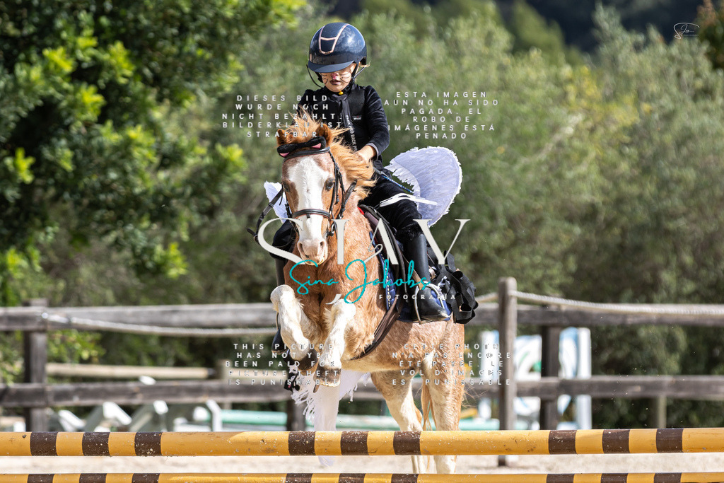 IMG_2162 | s-jay-photography - Realisiert mit Pictrs.com