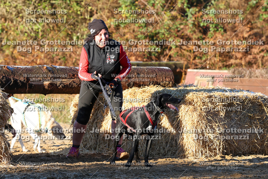 Dog Paparazzi - Strongdog 10-25-824 | Dog Paparazzi Jeanette Grottendiek Fotografie & Videografie - Realisiert mit Pictrs.com