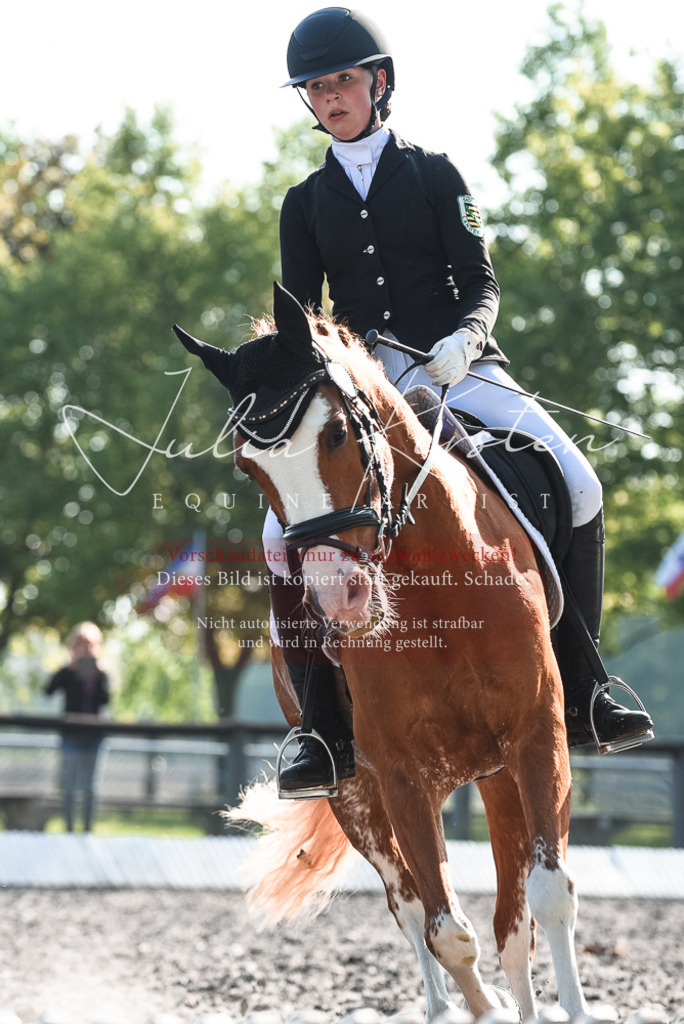 DSC_8257 | Pferde- und Turnierfotografie in Westsachsen. Pferdeportraits, Auftragszeichnungen und intuitive Kunst.