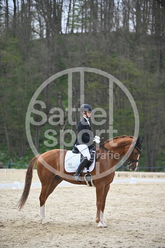 DSC_5134 | sattelsport - Realisiert mit Pictrs.com