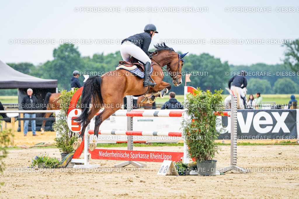 DSC07402 | Pferdegrafie