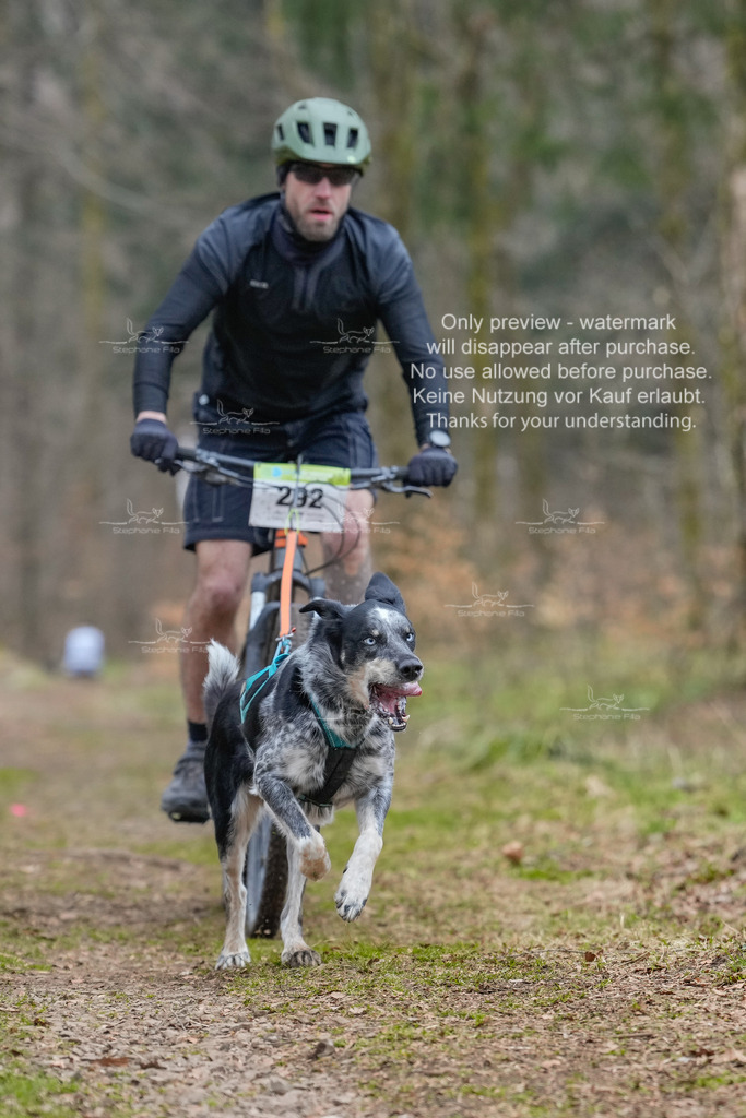 BikekurzSa-52 | stephaniefillaphotographie - Realisiert mit Pictrs.com