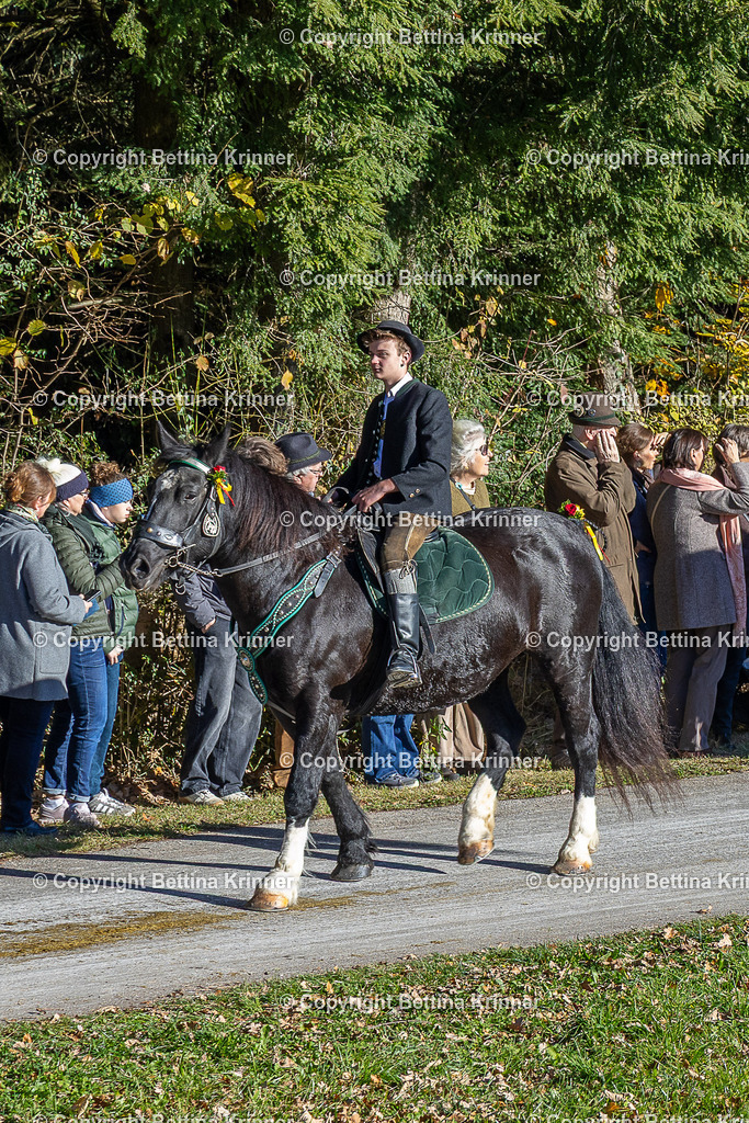 LBT25-676 | foto-bettina-krinner - Realisiert mit Pictrs.com