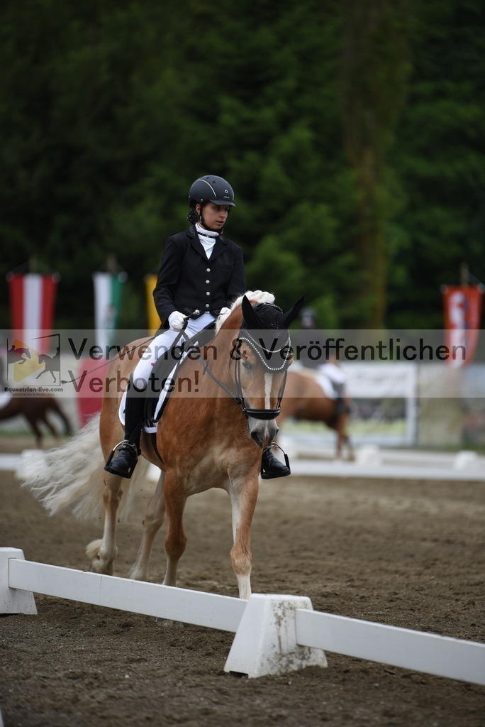DSC_7958 | equestrian-live-com