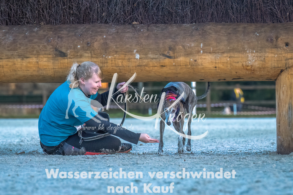 0825-00247 | kk-dogfotos