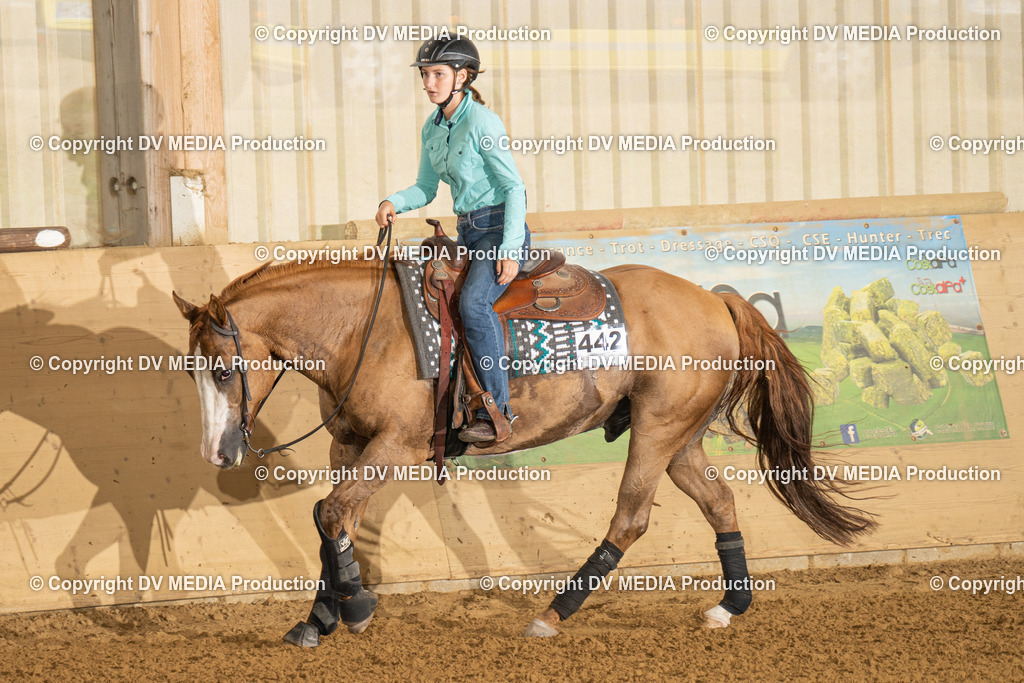 LAU00792 | dv-media-shop - Realisiert mit Pictrs.com